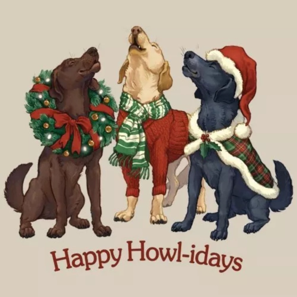 Dogs Christmas Sweatshirt (Unisex cut) - Picture 2 of 2